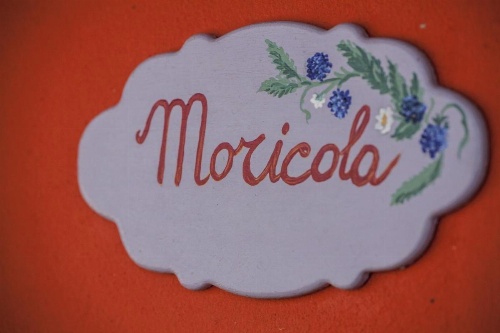 Giuggiolando image 24