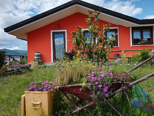 Giuggiolando image 28