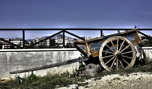 Giuggiolando image 7